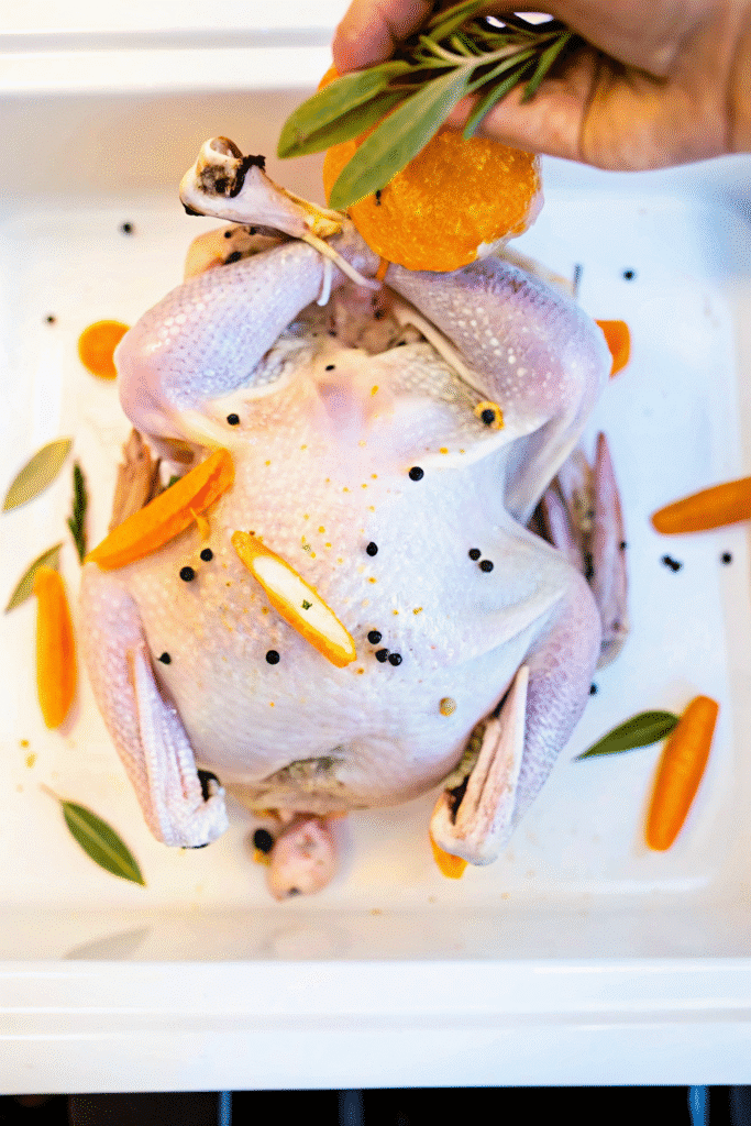 Preparing a Thanksgiving turkey with herb butter and stuffed cavity.
