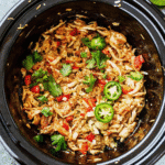 Crock Pot Salsa Chicken Recipe