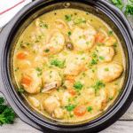 Crockpot Chicken and Dumplings with tender chicken, fluffy biscuit dumplings, and vegetables in a creamy broth